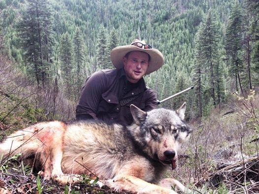 Cameron Outfitters Wolf Hunt