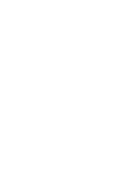 Cameron Outfitters lo-res logo